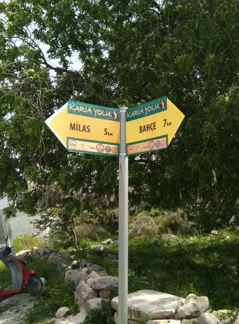 milasbahcesign